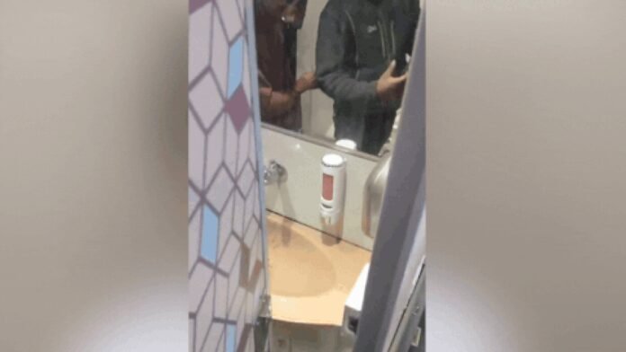 Watch: Man held for releasing snake in Vande Bharat train loo | Thane News