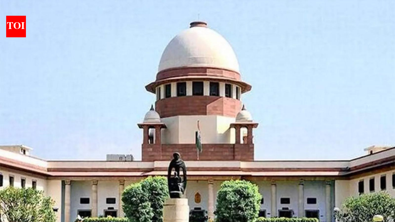 'Who will pay for it?': SC raps Tamil Nadu govt for promising free electricity; flags 'freebie' politics | India News