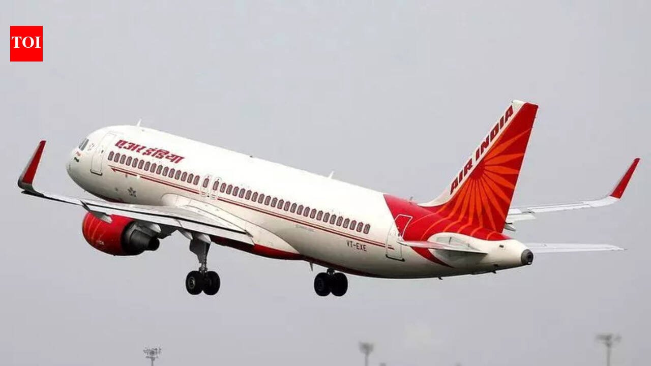 10 days on, 240 AI NY-Mumbai flyers to get their baggage | Mumbai News