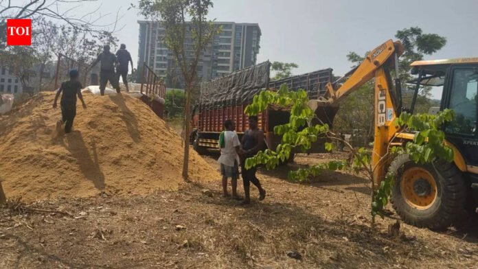 3-acre Mumbai's Marol ground along Mithi to become urban forest | Mumbai News