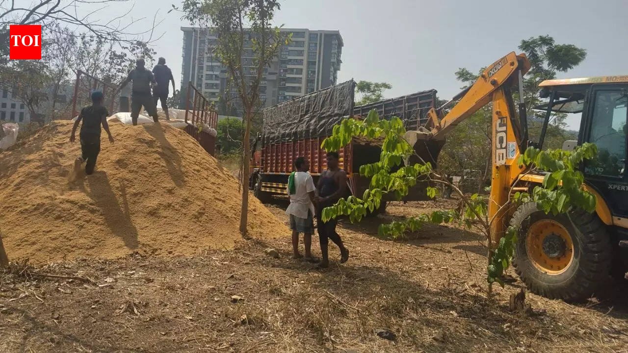 3-acre Mumbai's Marol ground along Mithi to become urban forest | Mumbai News
