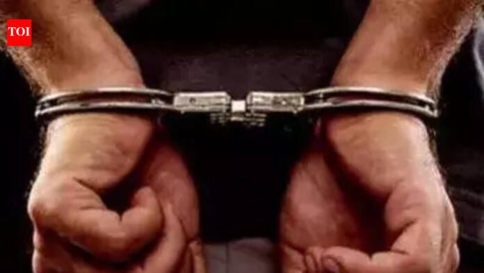 30cr cocaine seizure: Punjab man arrested, booked under NDPS Act | Mumbai News