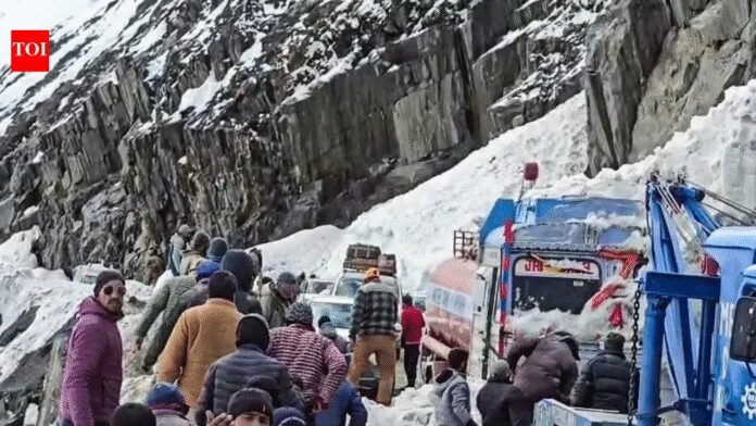 7 killed as multiple avalanches hit Srinagar–Leh national highway, several vehicles trapped under snow - top developments | India News