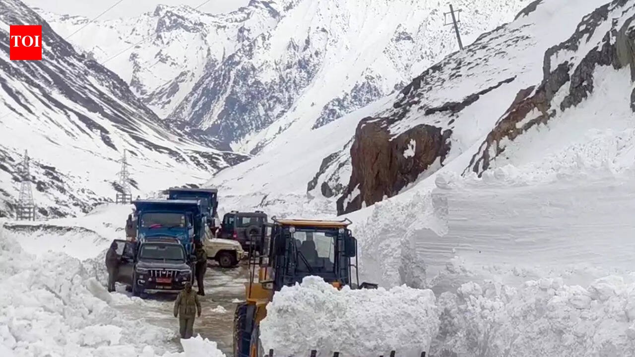 After Zoji La avalanche deaths, Ladakh hill council stakes claim on Zero Point | India News