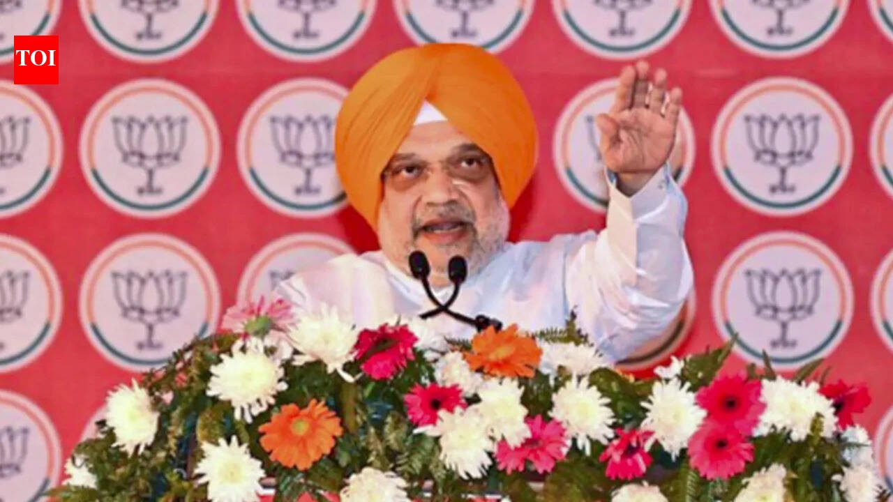 Amit Shah Punjab Elections 2027: Punjab: Amit Shah rules out Akali alliance revival, says BJP will fight 2027 polls to form own government | India News