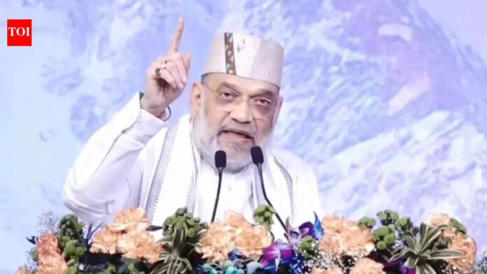 Amit Shah intensifies efforts to put infiltrators' issue to forefront | India News