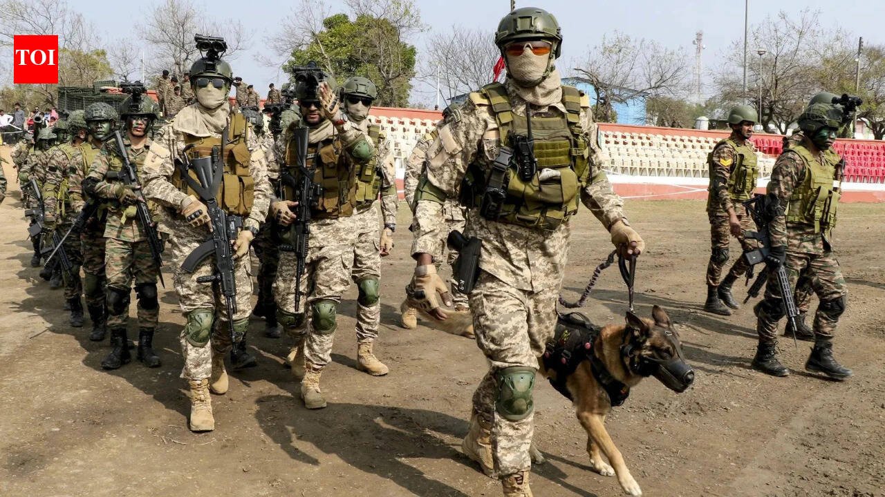 Army columns deployed in Meghalaya after 2 killed in police firing; curfew clamped | India News