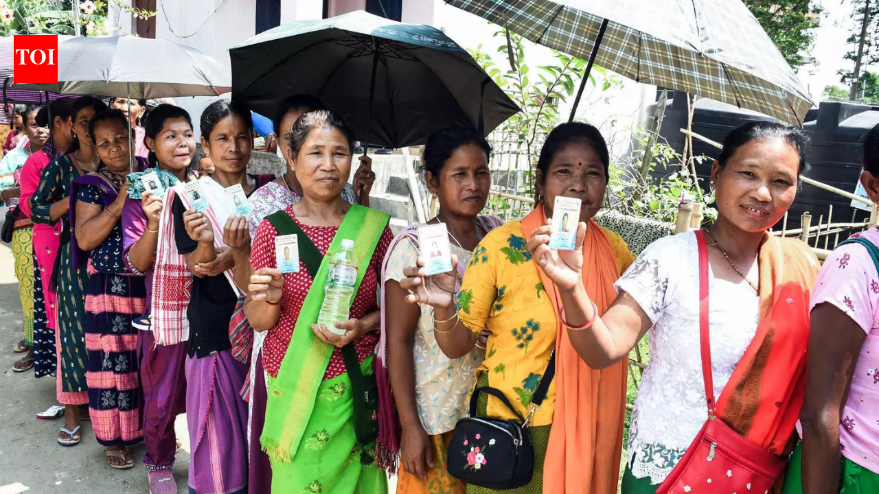 Assam assembly elections 2026: From eviction drives to NRC debate, issues set to dominate state poll campaign | India News