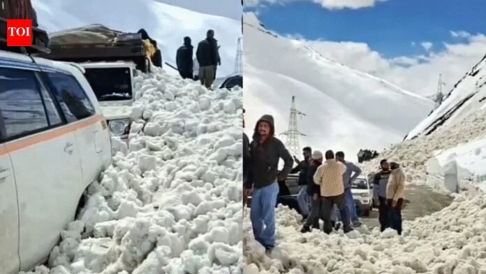 Avalanches at Zoji La pass: 7 killed, 5 injured in Ladakh; Srinagar-Leh highway blocked | India News