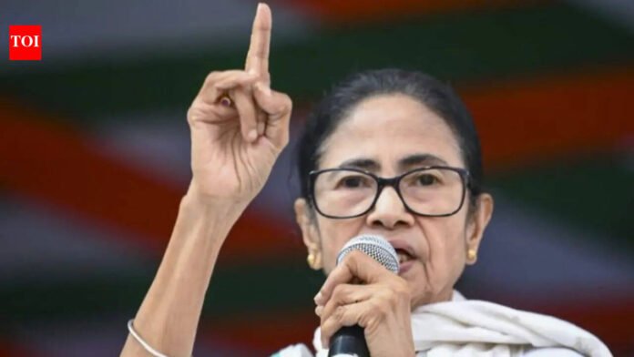 'BJP says can't eat fish, meat': Mamta Banerjee campaigns in Purulia | West Bengal Election News