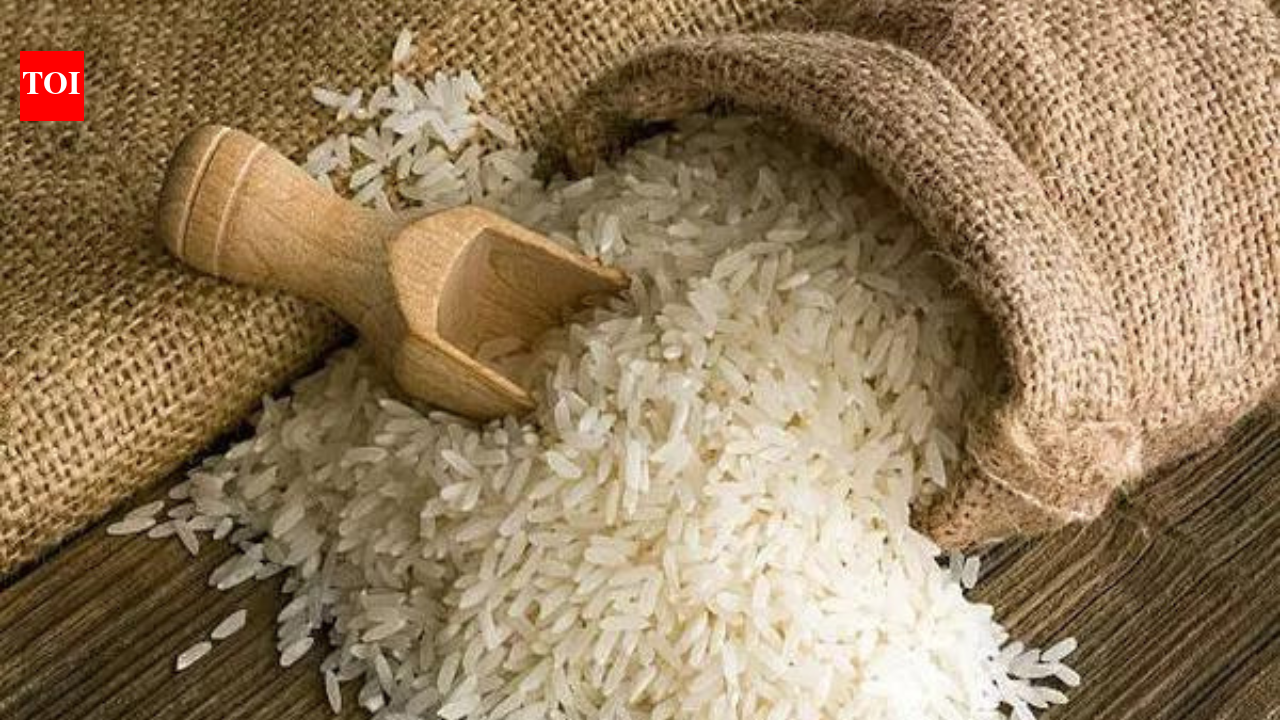 Basmati exports hit by Middle East war as 4 lakh metric tonnes pile up at ports