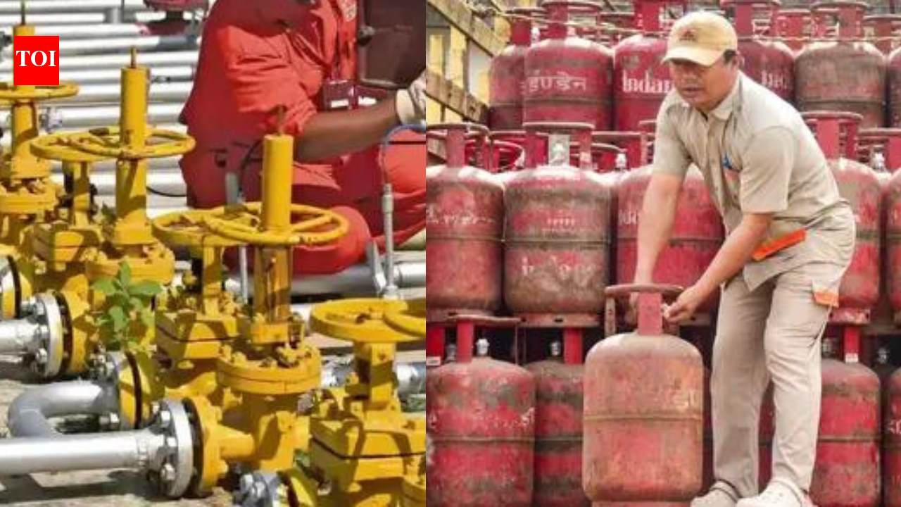 'Big thanks': 6,000 PNG users surrendered their LPG connections, says govt | India News