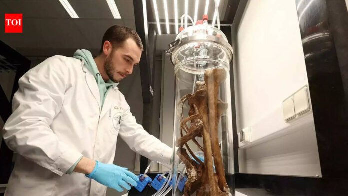 Biological Aging: Stressful, toxic people in your life may make you age faster, say researchers | India News