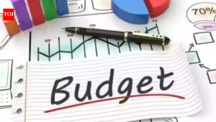 Budget basics simplified: TOI explains receipts, expenditure, deficits, borrowing, and parliamentary approvals for understanding of govt finances | Mumbai News