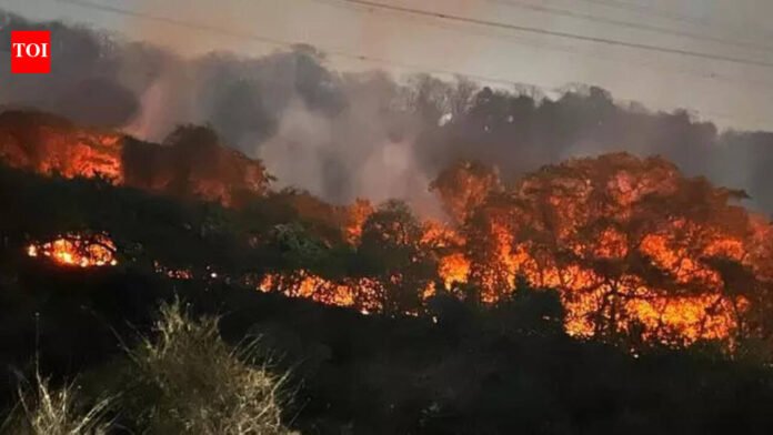 CMO orders probe into massive forest fire at Belapur Hills in Navi Mumbai | Mumbai News
