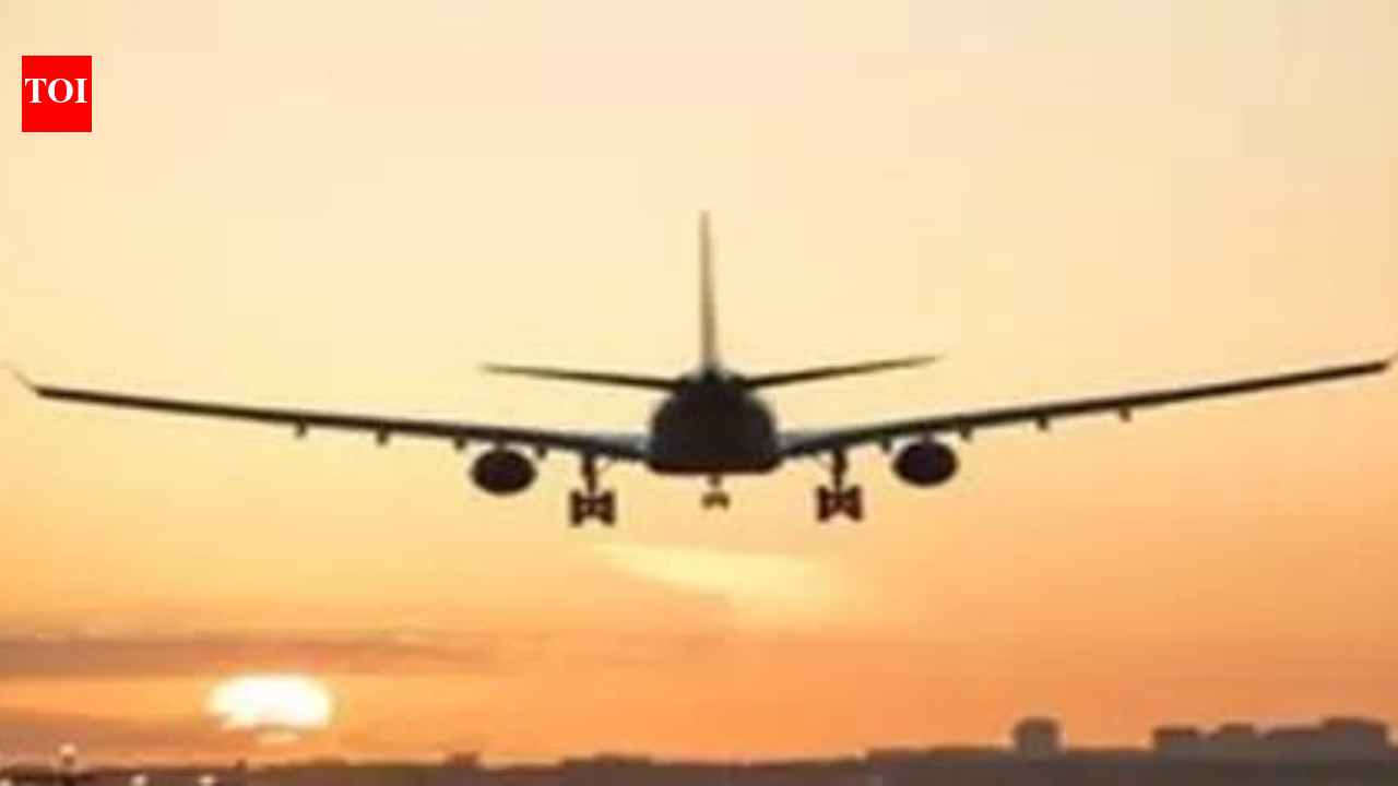 Call for direct civilian flights from Kargil | India News