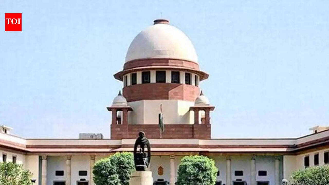 Can acid-attack survivors be given government jobs? SC to states | India News