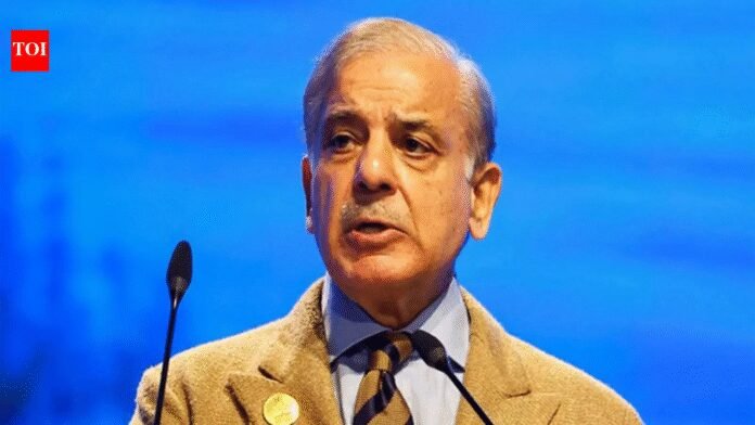 'Cause for concern': Pakistan points to India after US calls Islamabad's nukes a threat