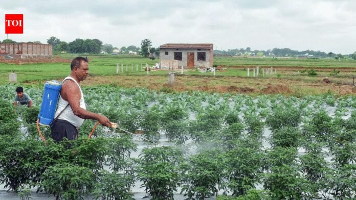 China urea shipments to India hit 3-year high; Russian supplies also rise this fiscal