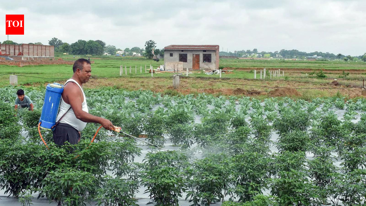 China urea shipments to India hit 3-year high; Russian supplies also rise this fiscal