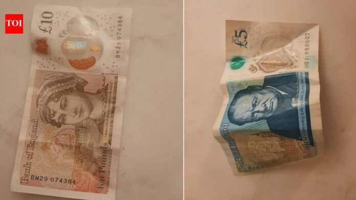 Churchill and Austen to be replaced by wildlife on British banknotes