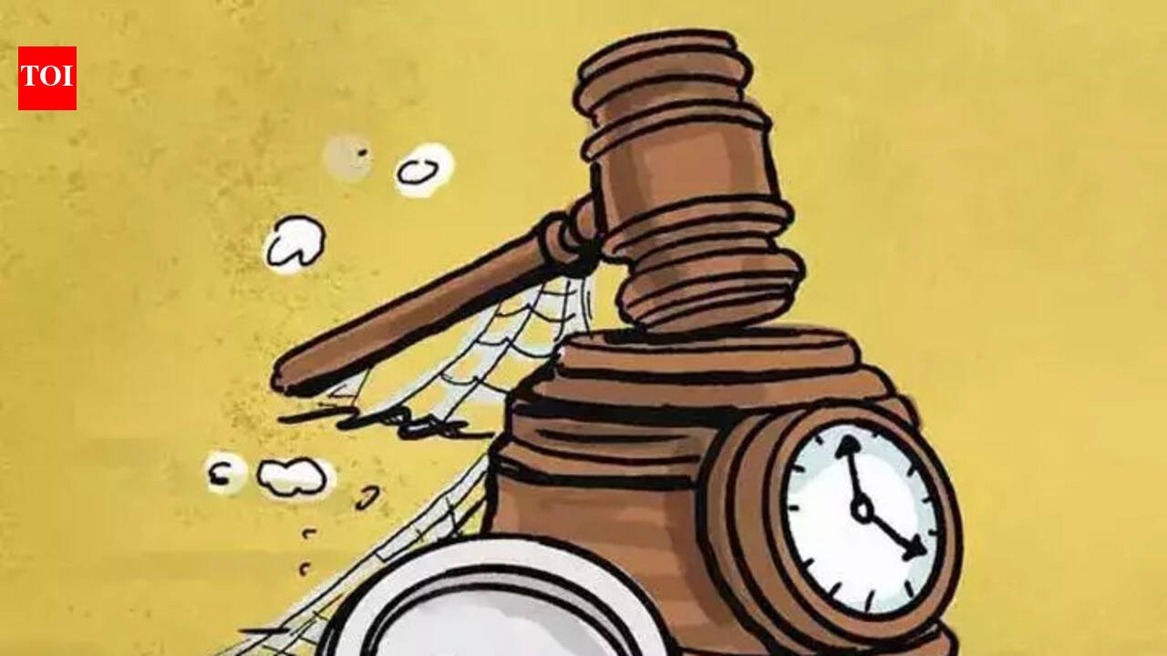 CoinDCX founders get bail in fraud case, question mark over cop action | Mumbai News