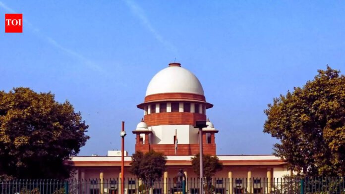 'Dare you to score 30% in English test right here': SC junks AI-drafted PIL, schools Ludhiana cloth trader