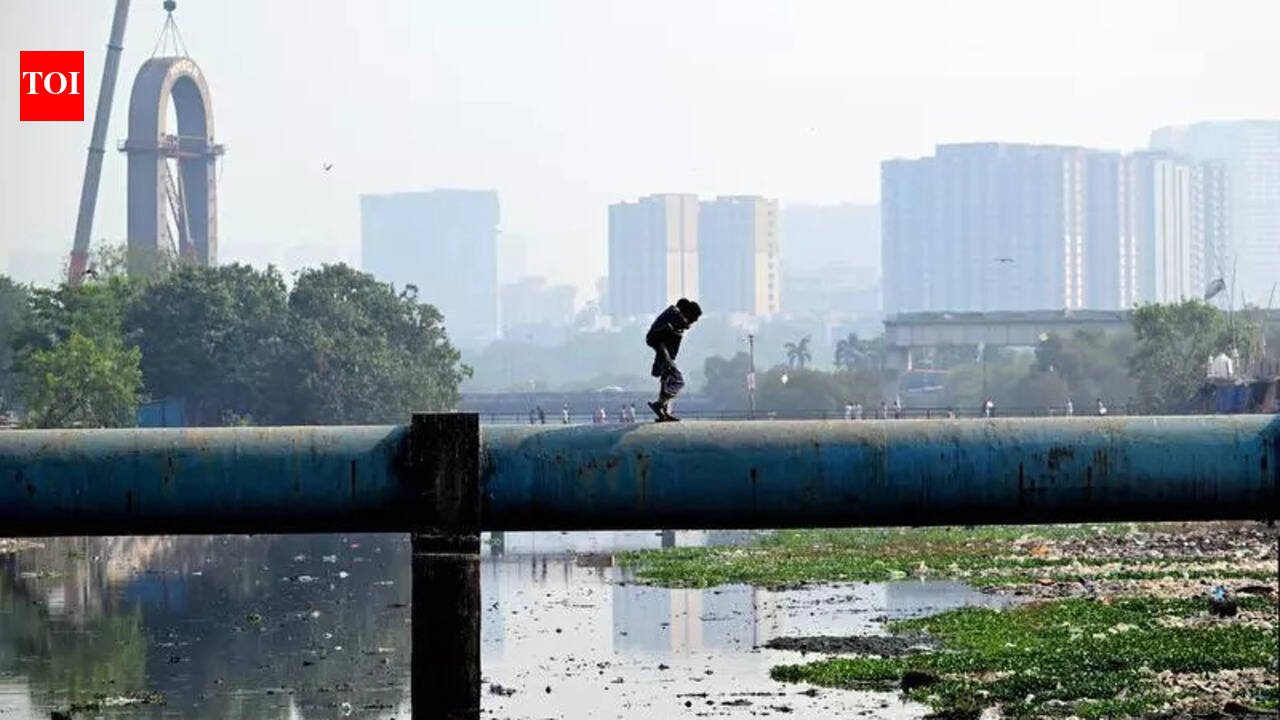 Delay in initiating Mithi river desilting leads to debate over monsoon preparedness | Mumbai News
