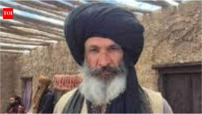 Dhurandhar 2: Who is Bimal Oberoi? All about the actor who played Shirani Baloch in Ranveer Singh's ' 'Dhurandhar: The Revenge' |