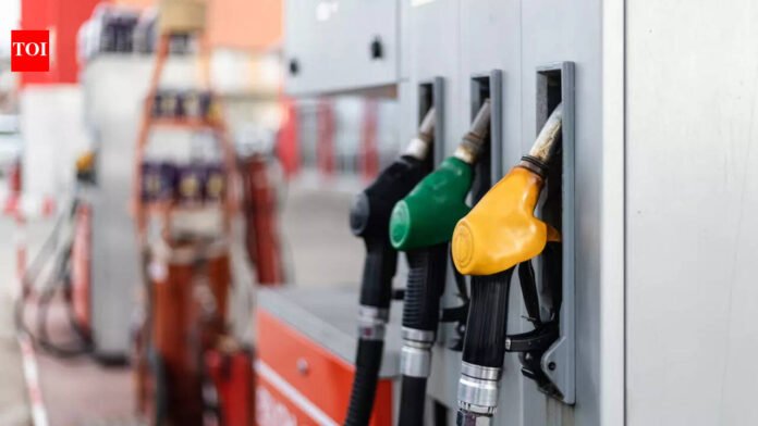 Diesel price: Bulk diesel price hike rolled back for Gujarat fishermen, will be treated as special exception