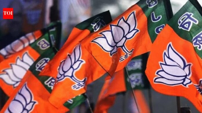 Donations to national parties surged 161% in FY25, BJP accounted for over 91% share: ADR | India News