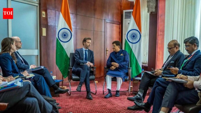 E-commerce turns deal breaker at WTO meet