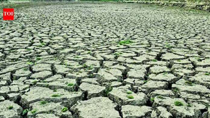 El Nino may hit India's monsoon, hotter months ahead, says WMO | India News