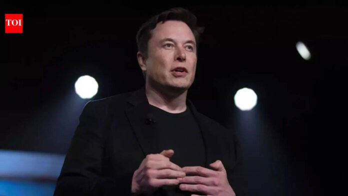 Elon Musk's TSA offer that Donald Trump loved has been rejected due to ...