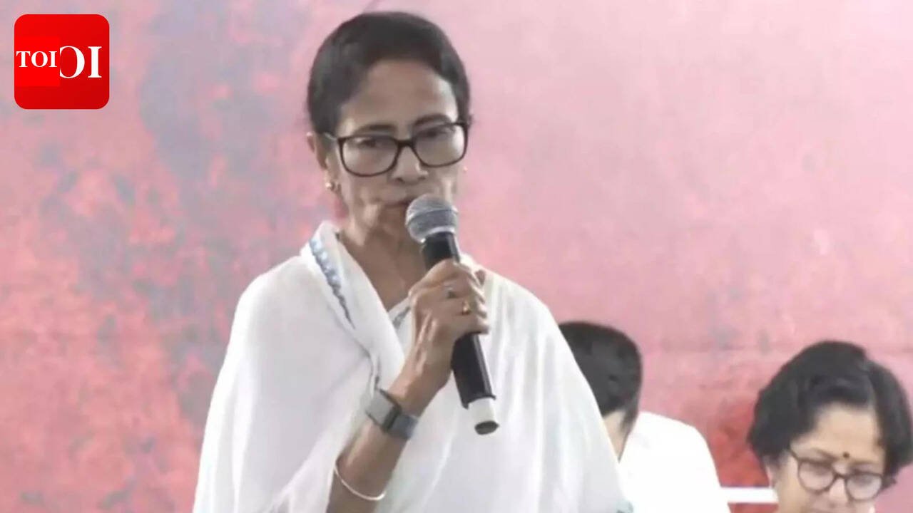 'Fighter Didi' teaser casts Mamata as Bengal's lone shield, signals TMC's battle pitch for polls | India News