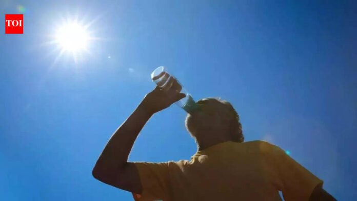First in 15 years: Temperature crosses 35°C in March’s first week; what’s behind the rise in mercury? | Delhi News