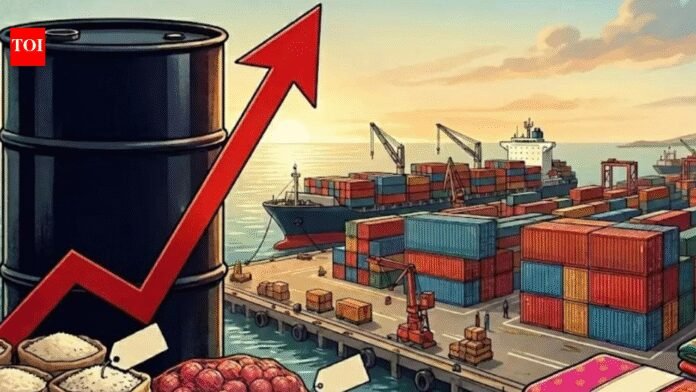 Freight pricing scrutiny: Govt asks shipping lines to avoid ‘predatory’ charges amid Middle East crisis