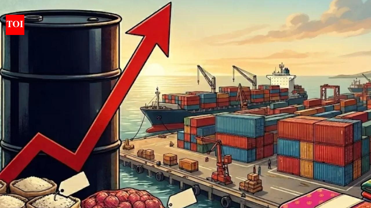 Freight pricing scrutiny: Govt asks shipping lines to avoid ‘predatory’ charges amid Middle East crisis