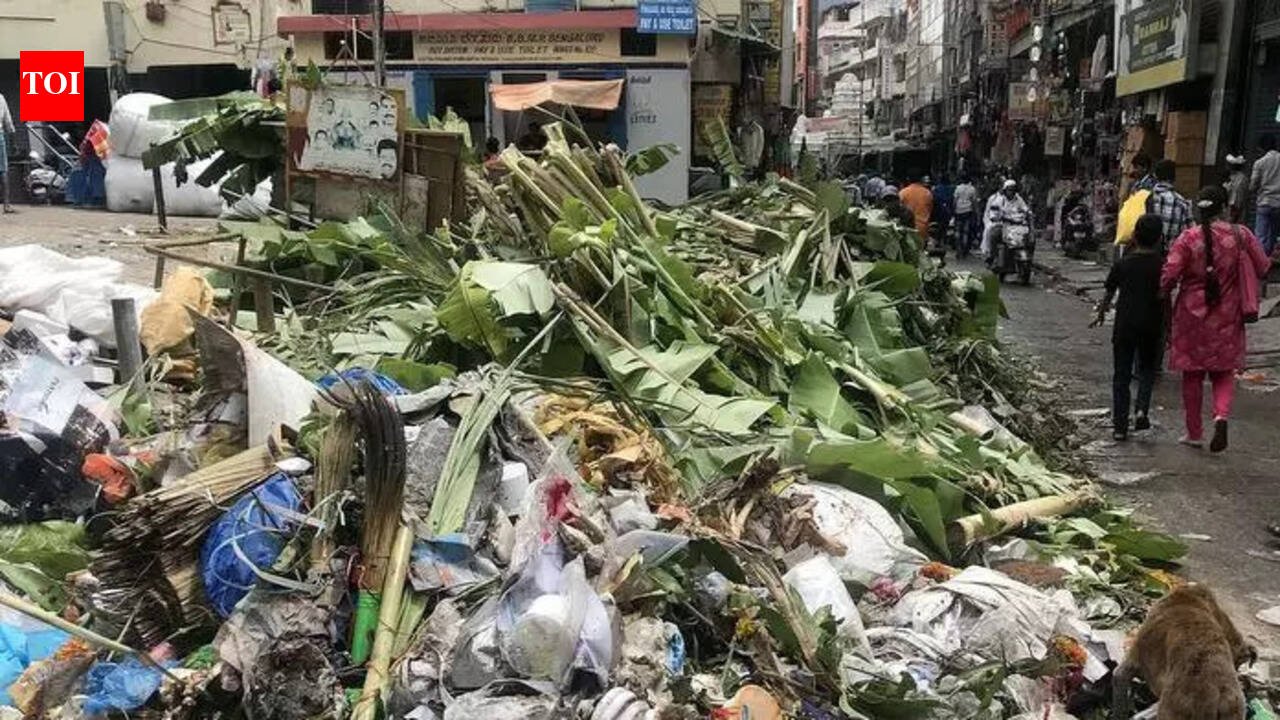 Garbage collection halt sparks fresh crisis fears; FIRs against contractors in Bengaluru | Bengaluru News