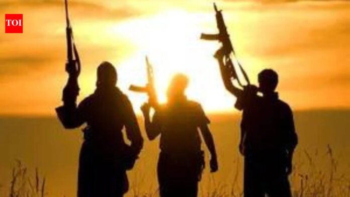 Global Terrorism Index 2026 : Map in report shows Jammu as part of China | India News