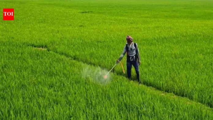 Government assures fertiliser plants of 70% LNG supply