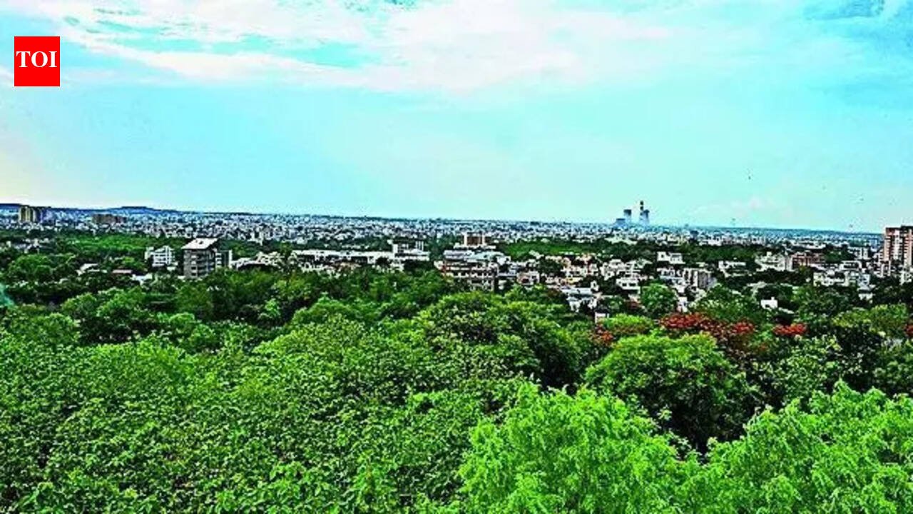 Government moots central body to curb green nod delay | India News