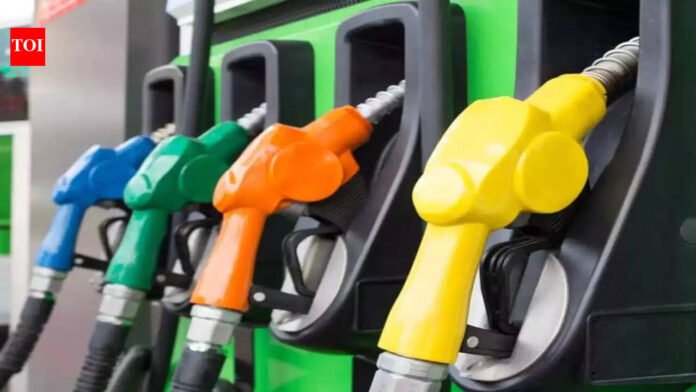 Govt cuts excise duty to Rs 3 a litre on petrol, to nil on diesel amid Middle East tensions