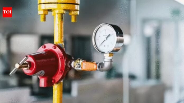 Govt mandates switch to piped gas: Centre orders transition to PNG wherever available; here's what it says