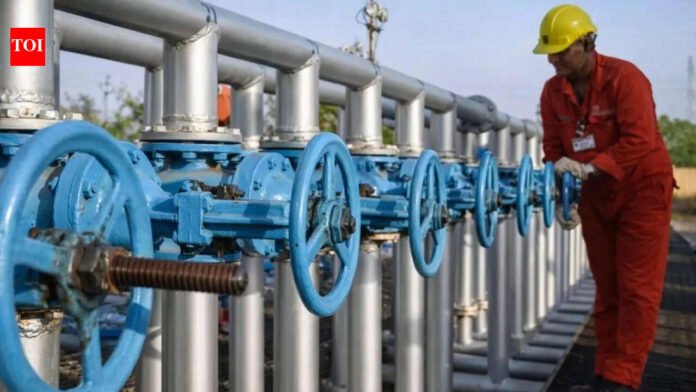 Govt secures extra LNG via spot buying to make fertilisers