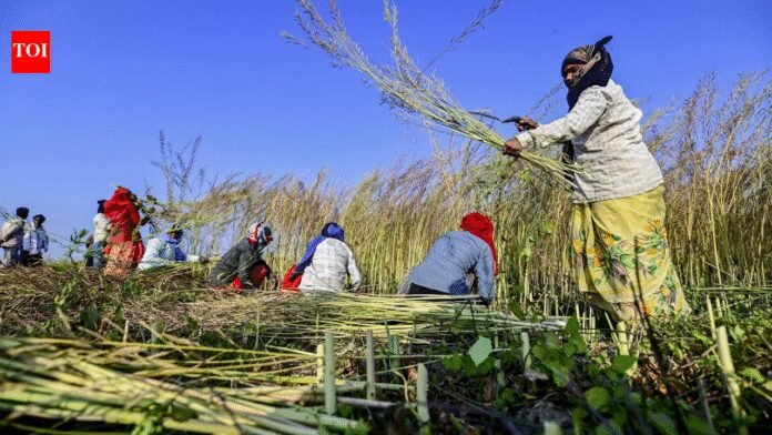 Grains for all: UP boosts food security with tech, nutrition and robust procurement systems | India News