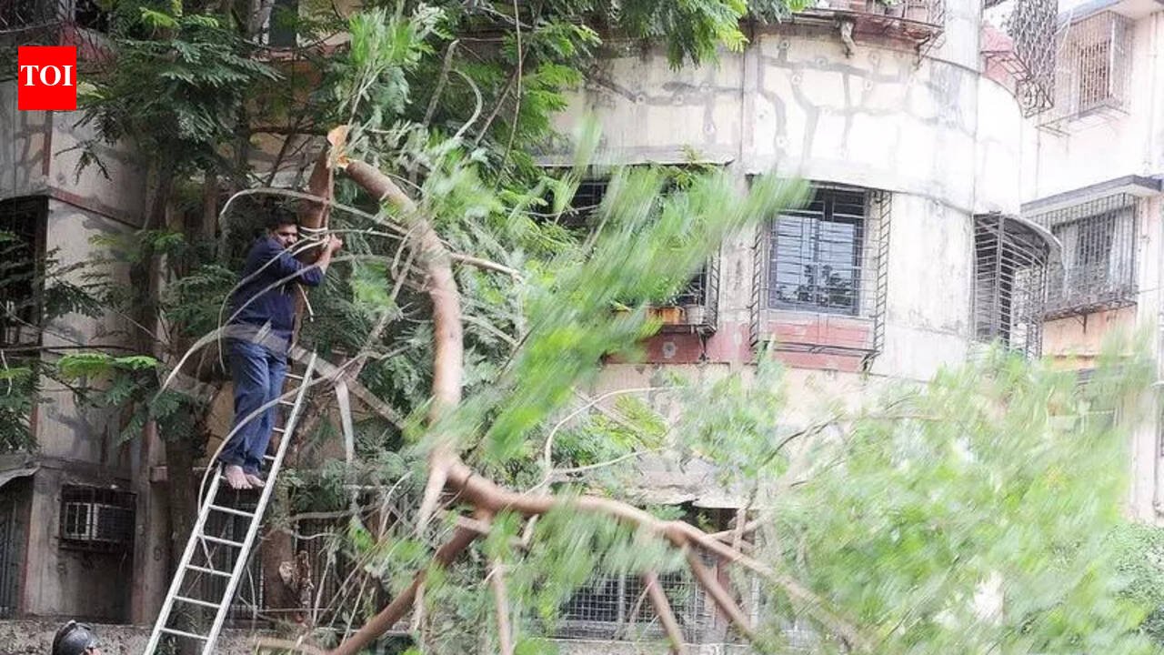Greens to organise human chain protest in front of Navi Mumbai Municipal Corporation head office to save 440 trees | Mumbai News