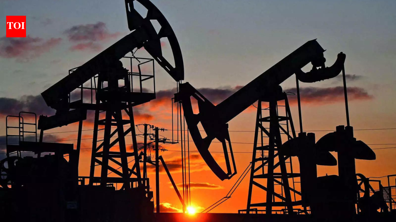 India rules out releasing strategic oil reserves after IEA calls to cool prices