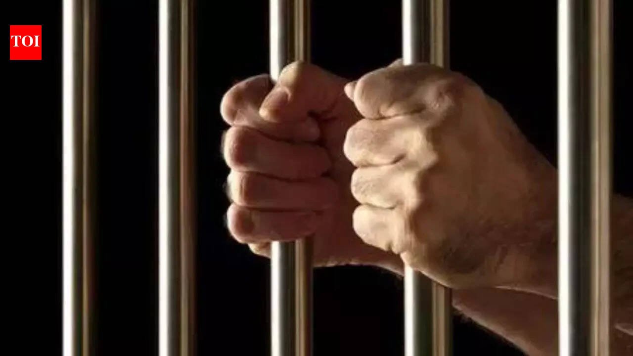 Jammu and Kashmir: 2 mobiles, being smuggled inside jail, recovered in Doda | India News