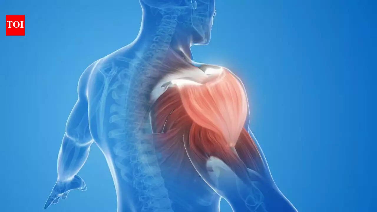 Losing muscle with age? New Indian guidelines warn of a hidden health risk | India News